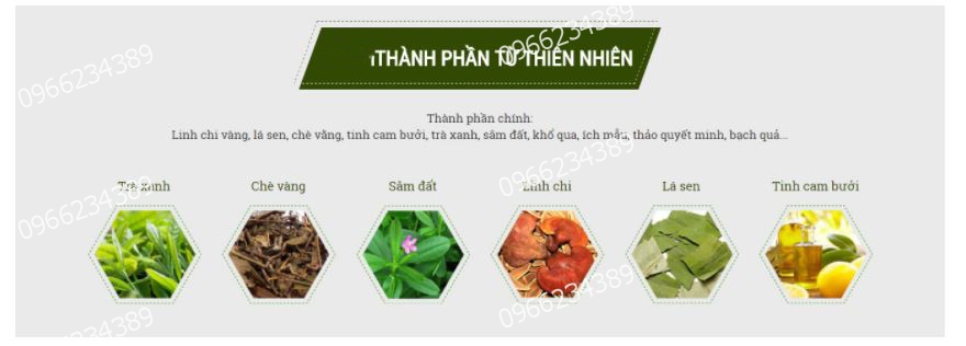 thnh_phn_tr_gim_cn_cng_anh