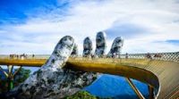 Trà sâm dứa Đà Nẵng Tại Sao Lại nổi tiếng?