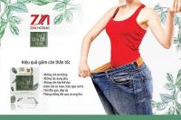 Vì sao trà hoa sâm đất giảm cân hiệu quả