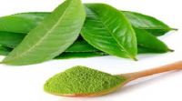Trà xanh giúp giảm cân tốt hơn