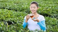 Trà Xanh Chống Hôi Miệng