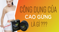Hướng Dẫn Sử Dụng Cao Gừng Tan Mỡ