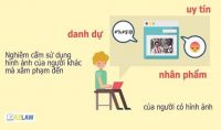 Điều khoản sử dụng